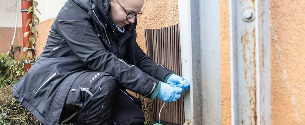 Ausbildung als Schaedlingsbekaempfer/in