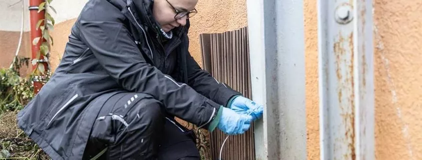 Ausbildung als Schaedlingsbekaempfer/in