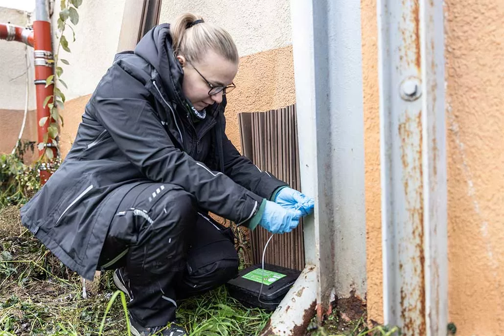 Ausbildung als Schaedlingsbekaempfer/in